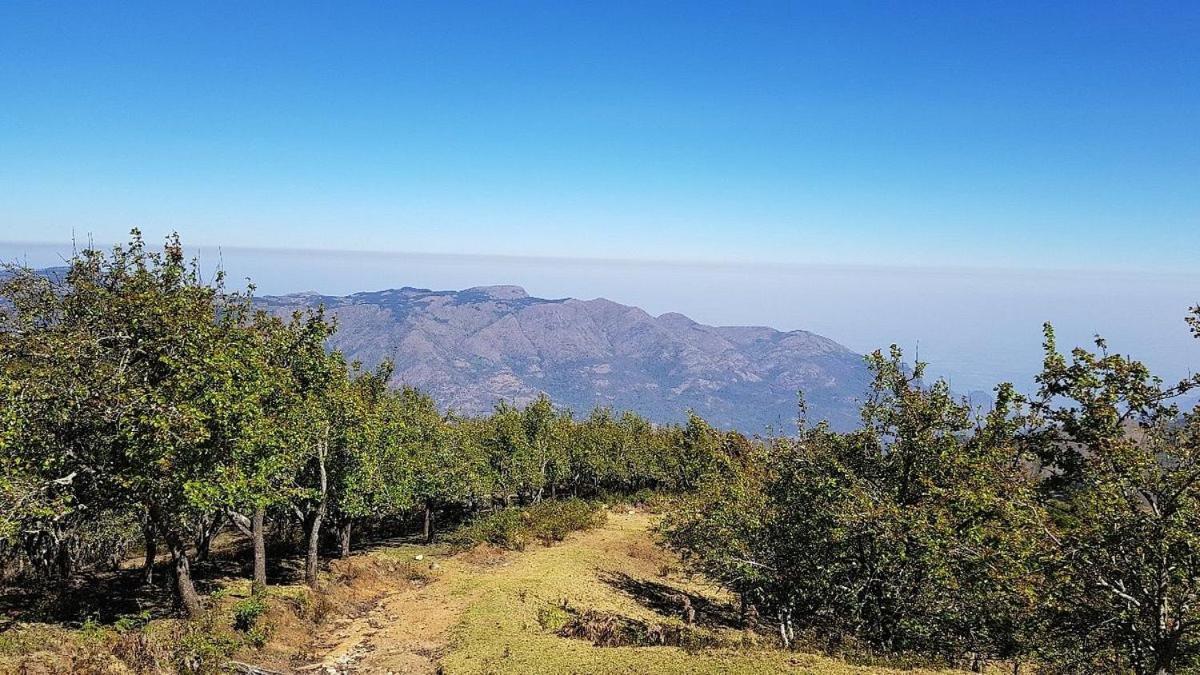 Starlight Hotels Kodai 코다이카날 외부 사진